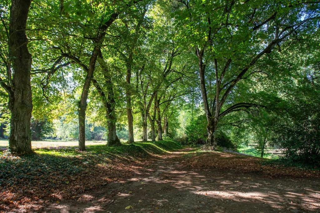 Gite Chouette La Valette Villiers-Charlemagne Exteriér fotografie